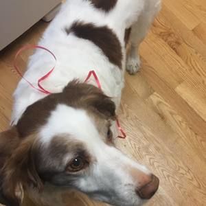 Meet your Posher, Jannessa